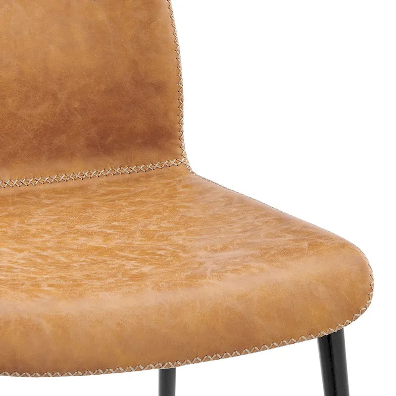 Jayden Faux Leather Dining Side Chair (Set of 2)